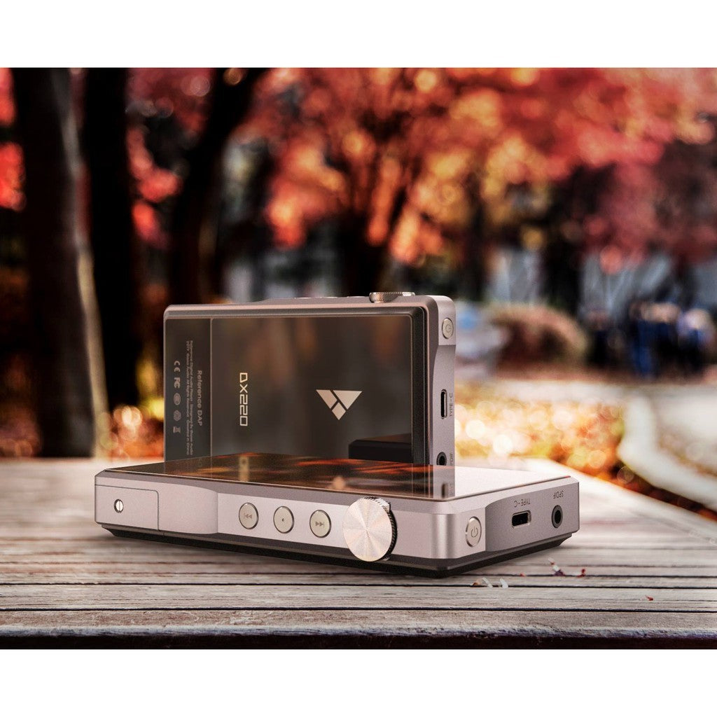 iBasso DX220