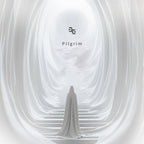 Effect Audio x Elysian Acoustic Lab Pilgrim Noir - Special Edition