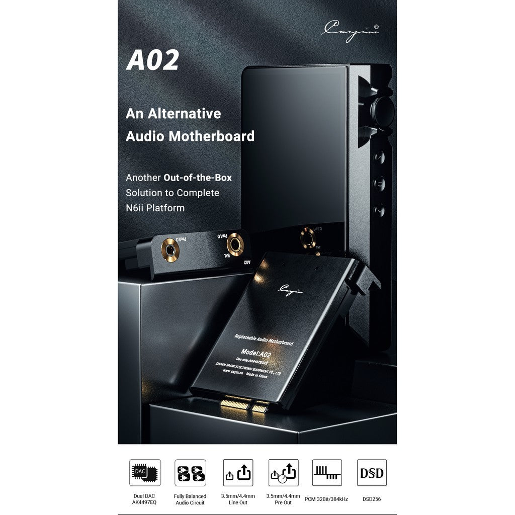 Cayin N6ii Titanium R2R
