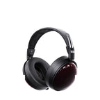 FiiO FT13