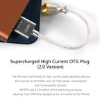 ddHifi TC07F or MFi07F - Type C