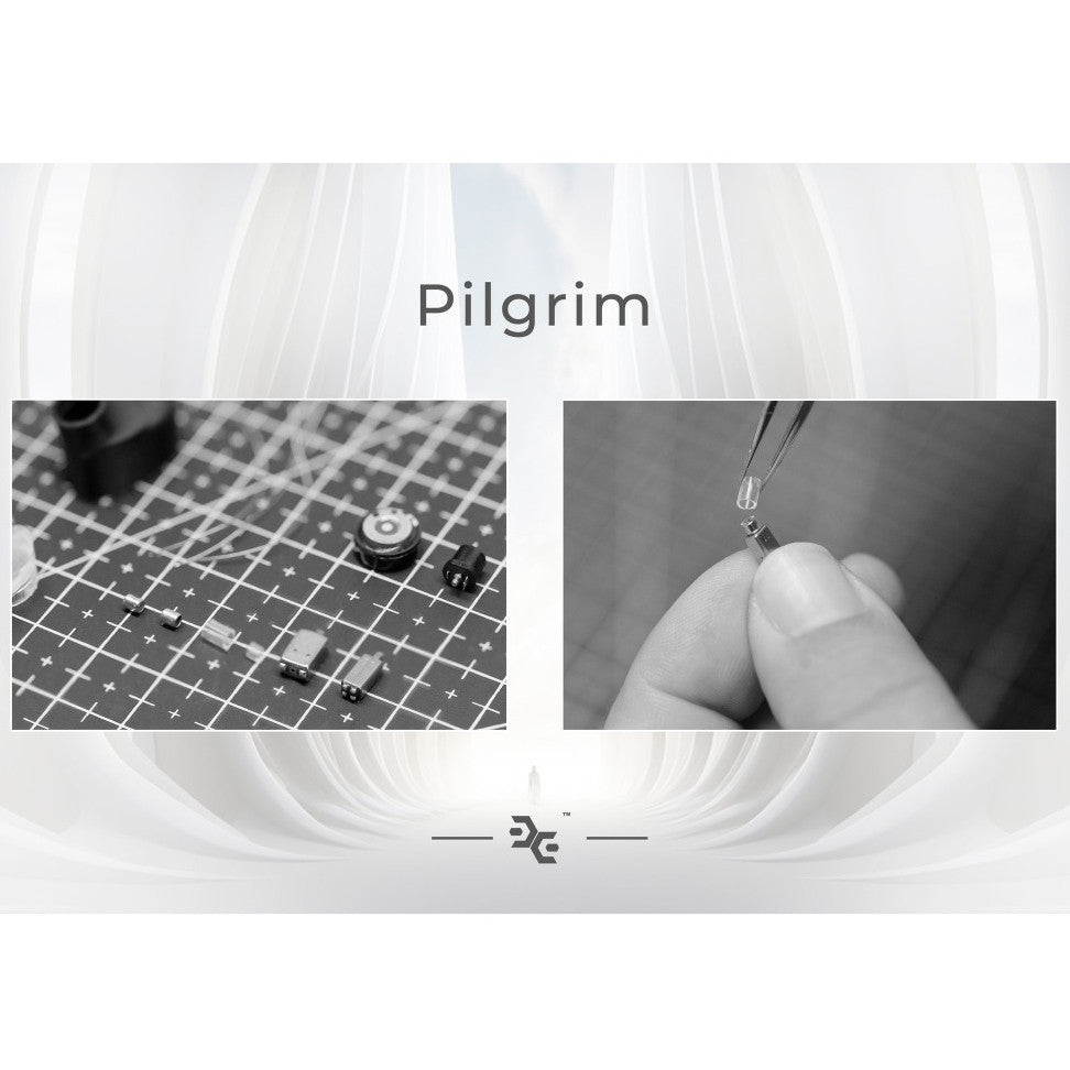 Effect Audio x Elysian Acoustic Lab Pilgrim Noir