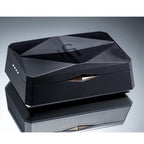 iFi Audio GO pod