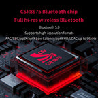 FiiO BTR5