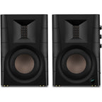 HiVi Swans D100