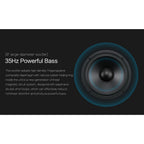 HiVi Swans M500