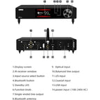 SMSL VMV D1se