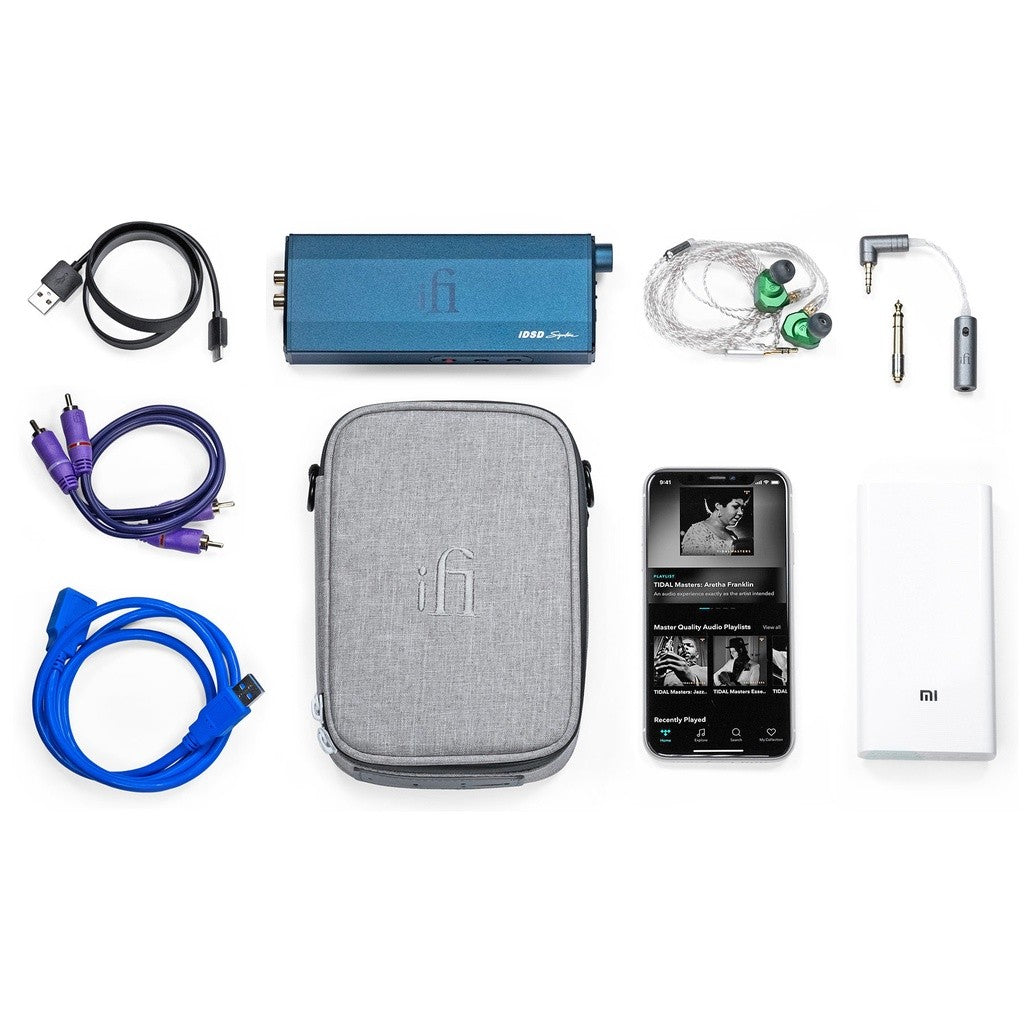 iFi iTraveller Case