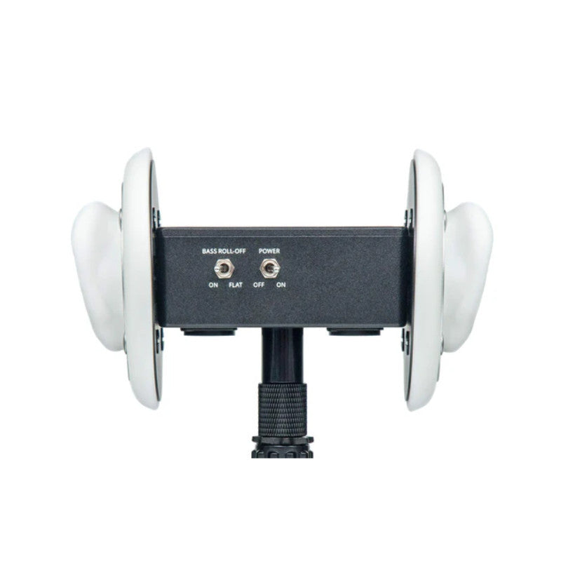 3Dio FS XLR
