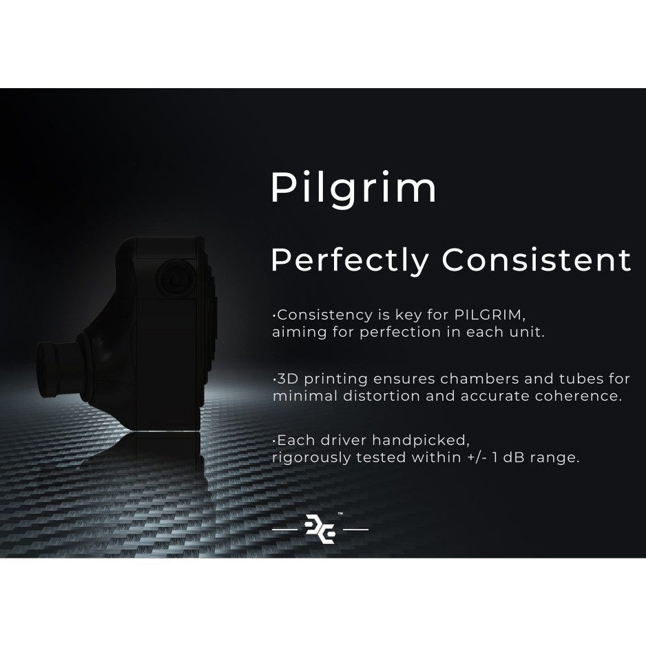 Effect Audio x Elysian Acoustic Lab Pilgrim Noir