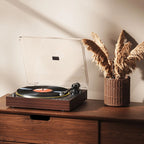 FiiO TT11